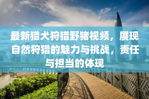 最新猎犬狩猎野猪视频，展现自然狩猎的魅力与挑战，责任与担当的体现