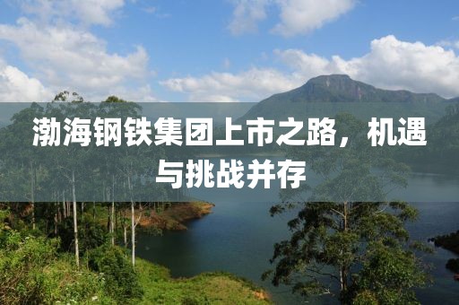 渤海钢铁集团上市之路，机遇与挑战并存