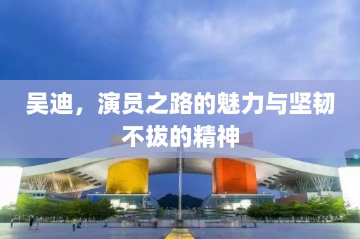 吴迪，演员之路的魅力与坚韧不拔的精神