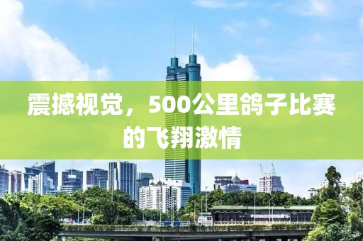 震撼视觉，500公里鸽子比赛的飞翔激情