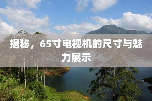 揭秘，65寸电视机的尺寸与魅力展示