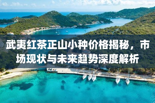 2025年4月24日 第5页