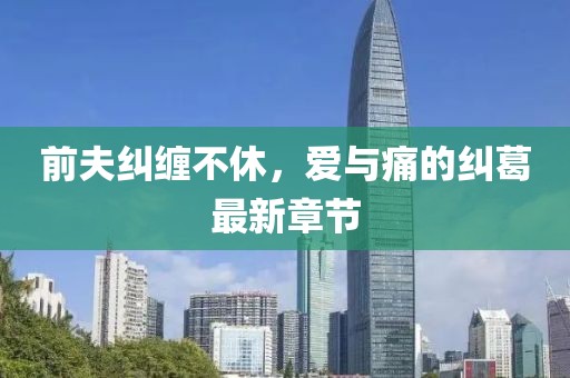 前夫纠缠不休，爱与痛的纠葛最新章节