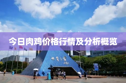 今日肉鸡价格行情及分析概览