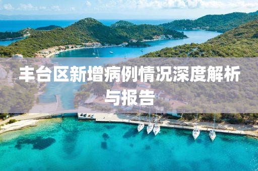 丰台区新增病例情况深度解析与报告