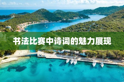 书法比赛中诗词的魅力展现