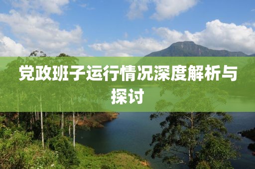 党政班子运行情况深度解析与探讨
