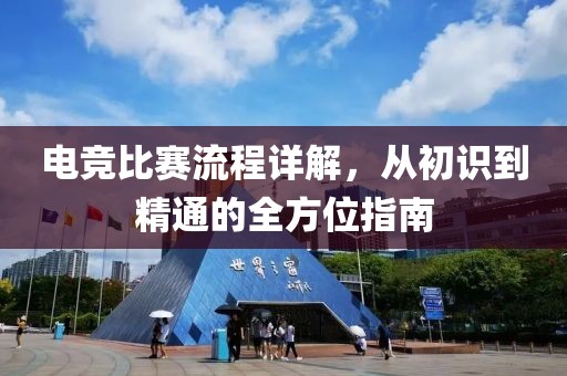电竞比赛流程详解，从初识到精通的全方位指南