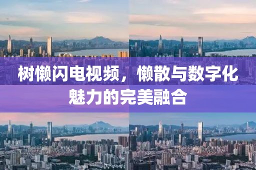 树懒闪电视频，懒散与数字化魅力的完美融合