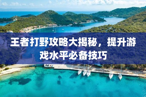 王者打野攻略大揭秘，提升游戏水平必备技巧