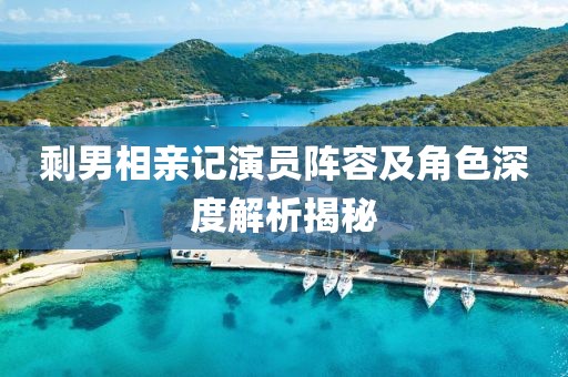 剩男相亲记演员阵容及角色深度解析揭秘