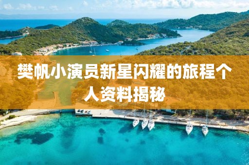 樊帆小演员新星闪耀的旅程个人资料揭秘
