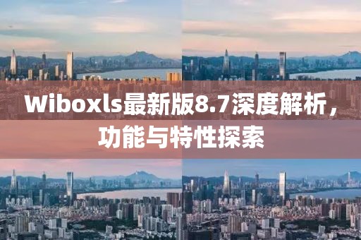 Wiboxls最新版8.7深度解析，功能与特性探索