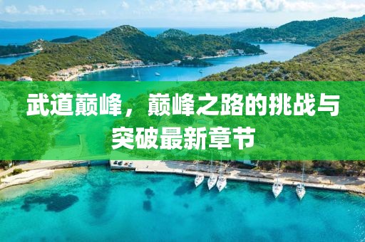 武道巅峰，巅峰之路的挑战与突破最新章节