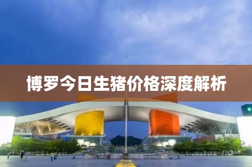 博罗今日生猪价格深度解析