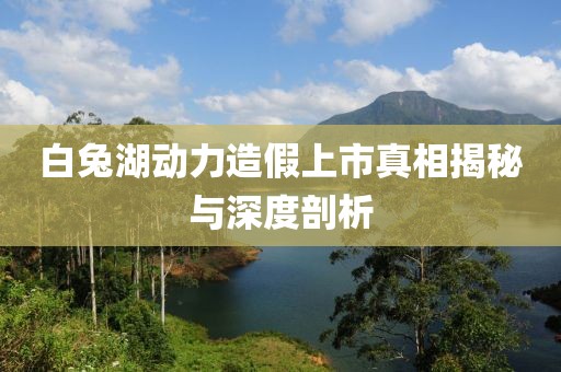 白兔湖动力造假上市真相揭秘与深度剖析