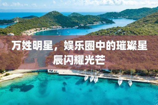 万姓明星，娱乐圈中的璀璨星辰闪耀光芒