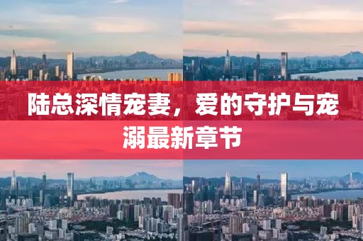 陆总深情宠妻，爱的守护与宠溺最新章节