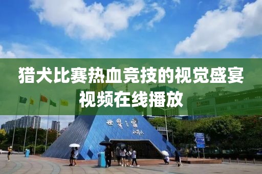 猎犬比赛热血竞技的视觉盛宴视频在线播放