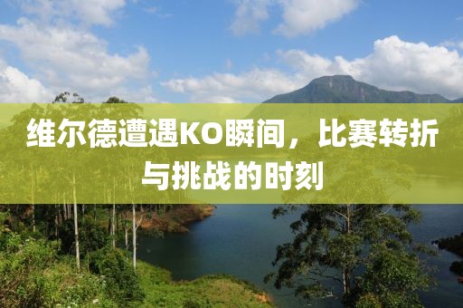 维尔德遭遇KO瞬间，比赛转折与挑战的时刻