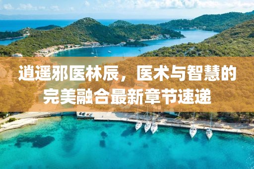 逍遥邪医林辰，医术与智慧的完美融合最新章节速递