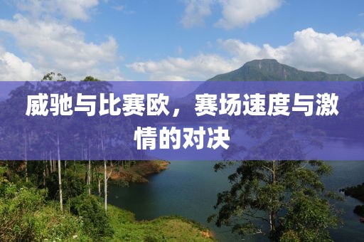 威驰与比赛欧，赛场速度与激情的对决