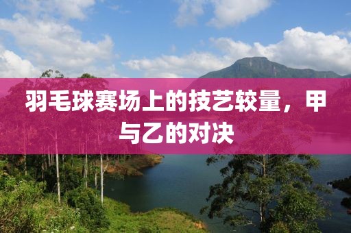 羽毛球赛场上的技艺较量，甲与乙的对决