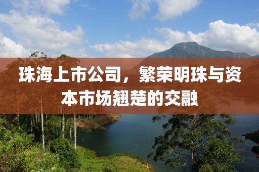 珠海上市公司，繁荣明珠与资本市场翘楚的交融