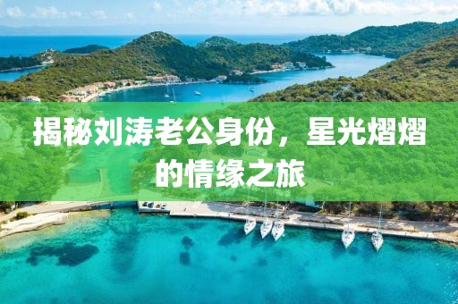 揭秘刘涛老公身份，星光熠熠的情缘之旅