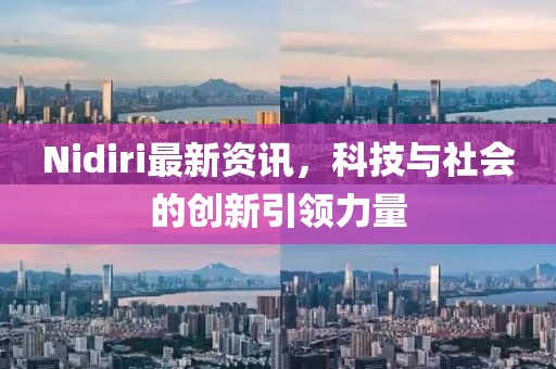 Nidiri最新资讯，科技与社会的创新引领力量
