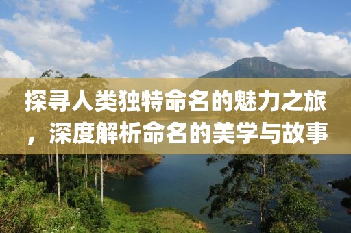探寻人类独特命名的魅力之旅，深度解析命名的美学与故事