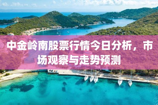 中金岭南股票行情今日分析，市场观察与走势预测