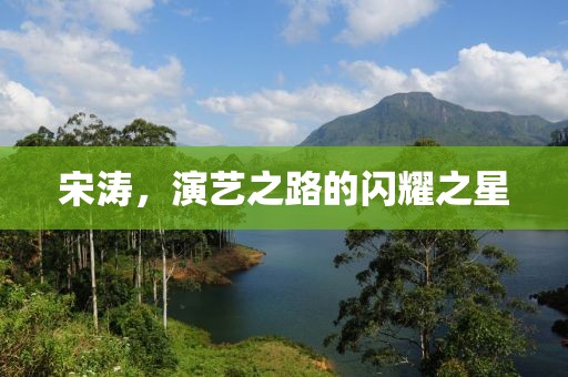 宋涛，演艺之路的闪耀之星