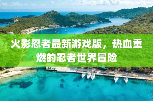 鱼死了 第16页