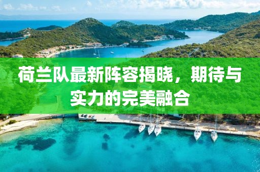 荷兰队最新阵容揭晓，期待与实力的完美融合