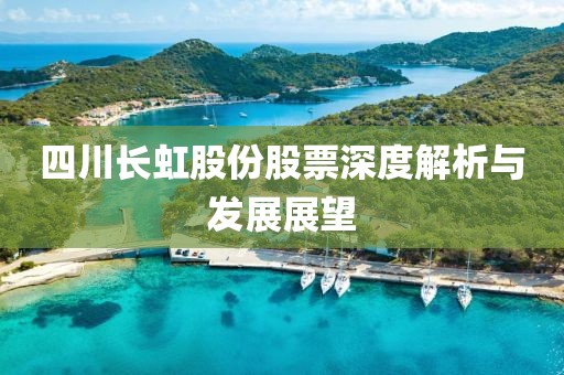四川长虹股份股票深度解析与发展展望