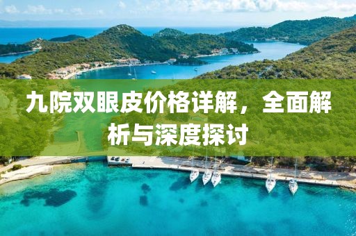 九院双眼皮价格详解，全面解析与深度探讨