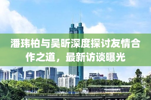 潘玮柏与吴昕深度探讨友情合作之道，最新访谈曝光