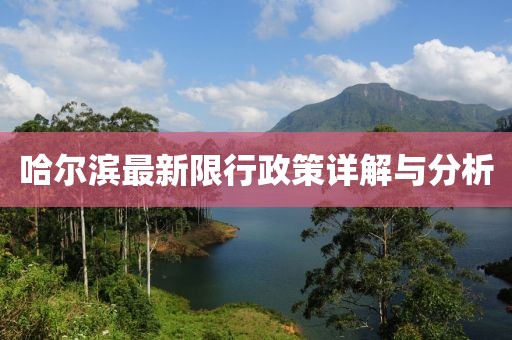 哈尔滨最新限行政策详解与分析