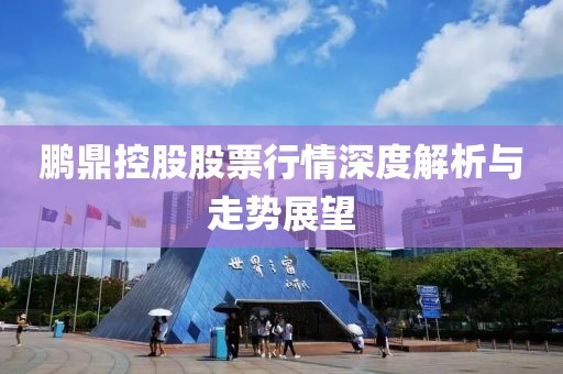 鹏鼎控股股票行情深度解析与走势展望