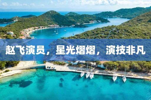 赵飞演员，星光熠熠，演技非凡