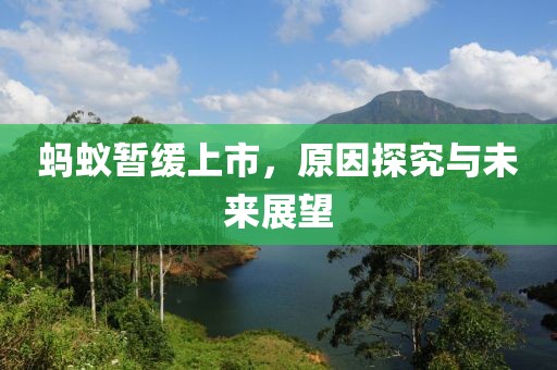 蚂蚁暂缓上市，原因探究与未来展望