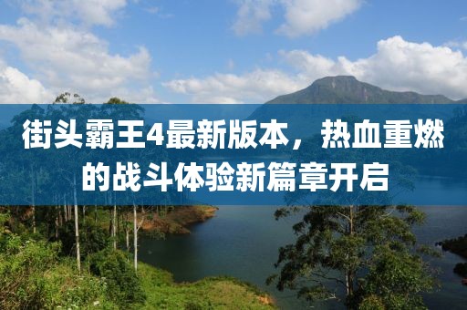 街头霸王4最新版本，热血重燃的战斗体验新篇章开启