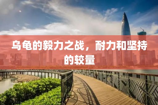 乌龟的毅力之战，耐力和坚持的较量