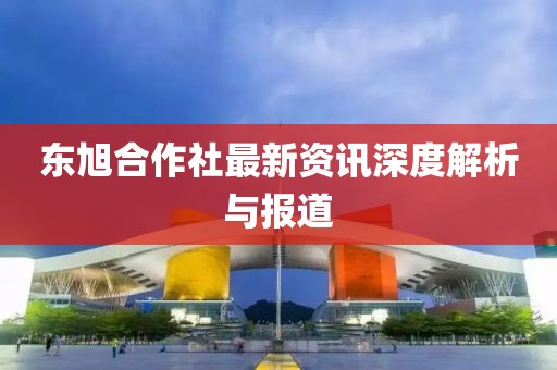 东旭合作社最新资讯深度解析与报道