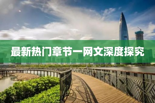 最新热门章节一网文深度探究
