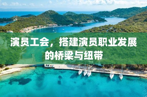 演员工会，搭建演员职业发展的桥梁与纽带
