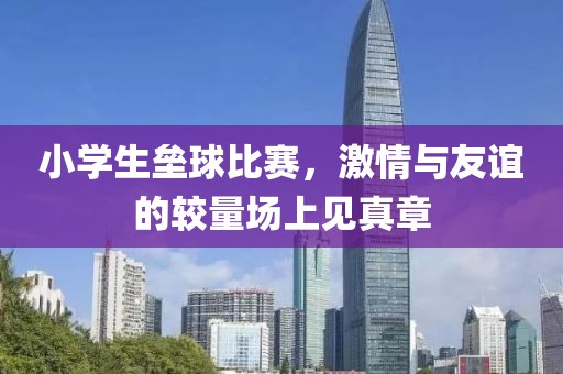 小学生垒球比赛，激情与友谊的较量场上见真章