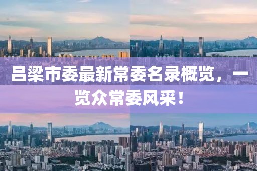吕梁市委最新常委名录概览，一览众常委风采！