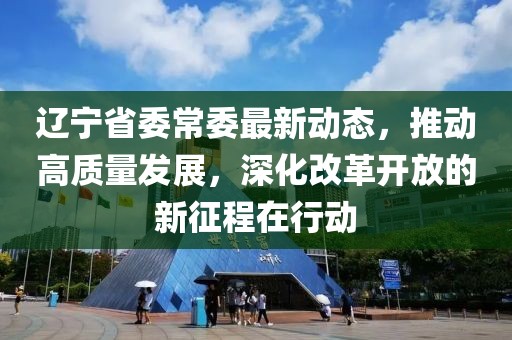 辽宁省委常委最新动态，推动高质量发展，深化改革开放的新征程在行动